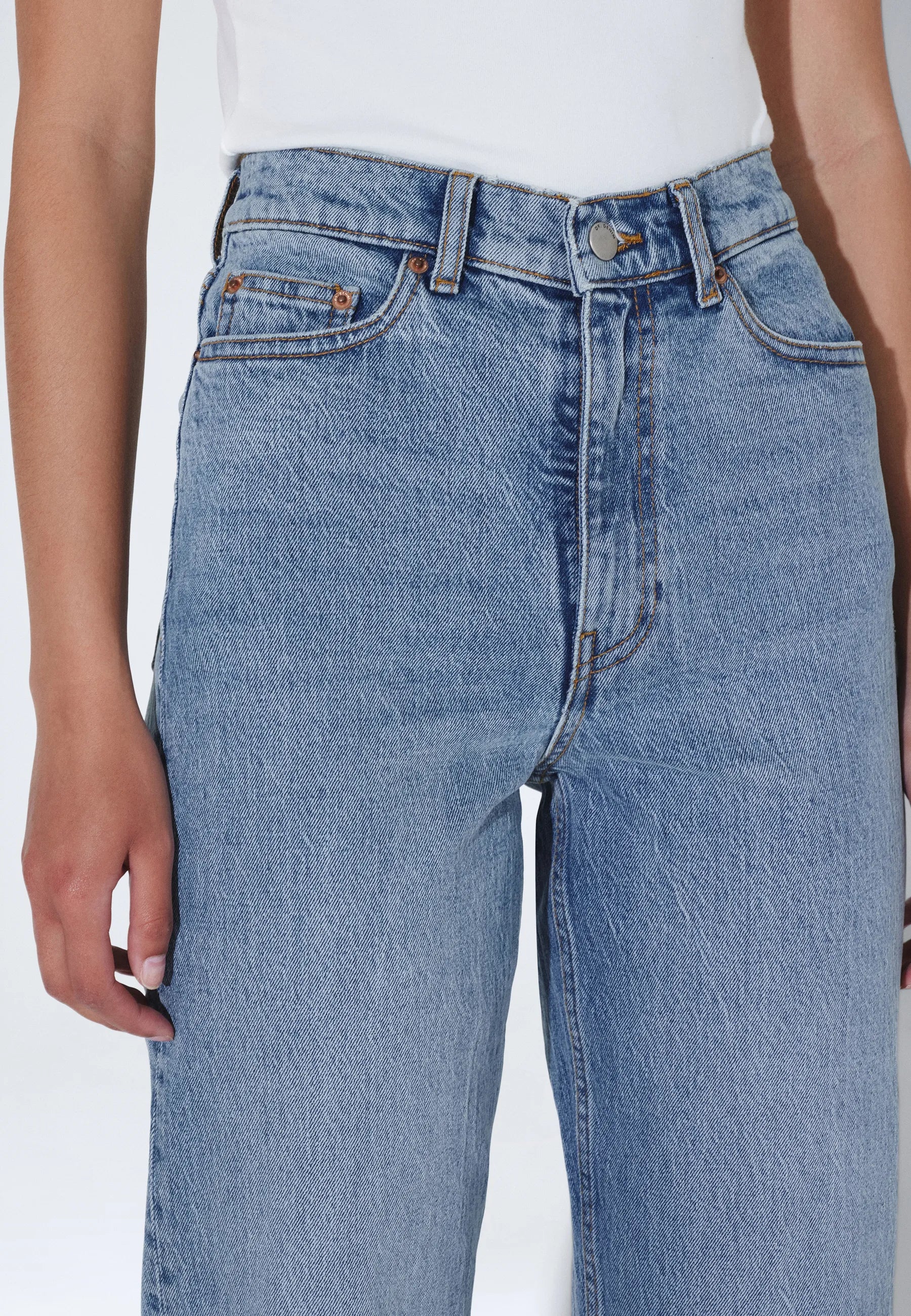 Echo_Bay_Blue_Jay_02347