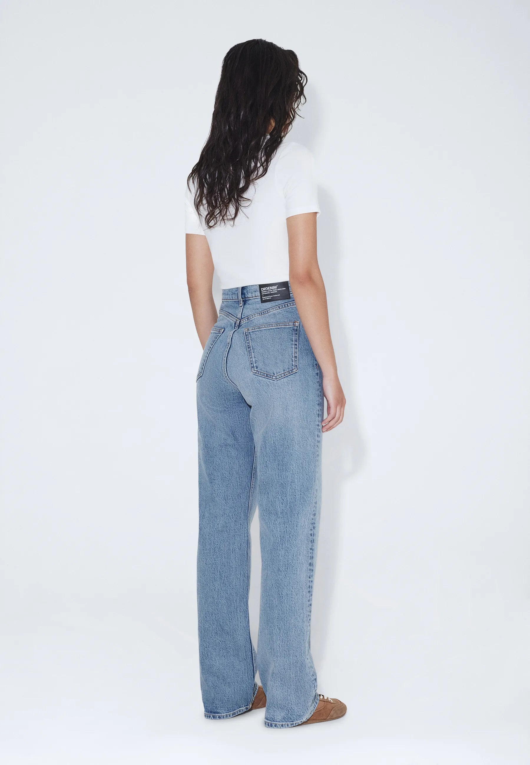 Echo_Bay_Blue_Jay_02350